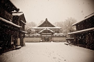 Winter at the Edo Tokyo Architectural Museum