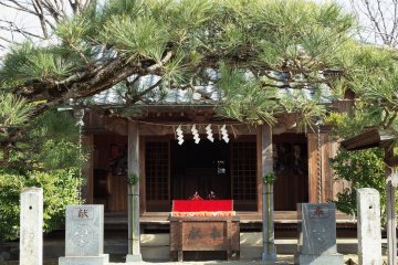 <p>This small shrine has its own hina doll display.</p>