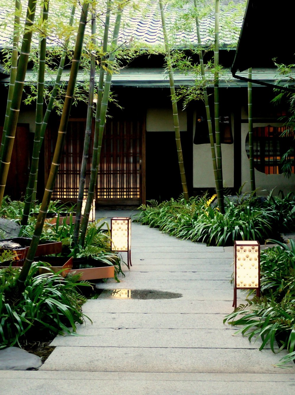 Bamboo garden and lanterns