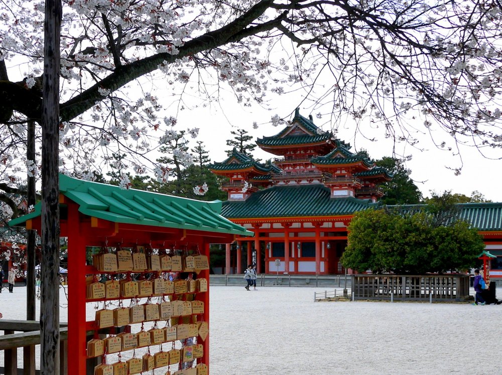 Cành cây anh đào làm khung cho khung cảnh của ngôi đền màu đỏ và xanh lá cây