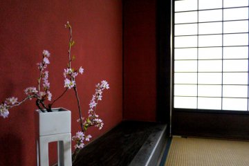 <p>Ваза со стоящими в ней ветвями с цветами сакуры в Кусацу Хондзин Дзюку</p>