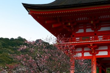 <p>The red gate of Kiyomizudera</p>