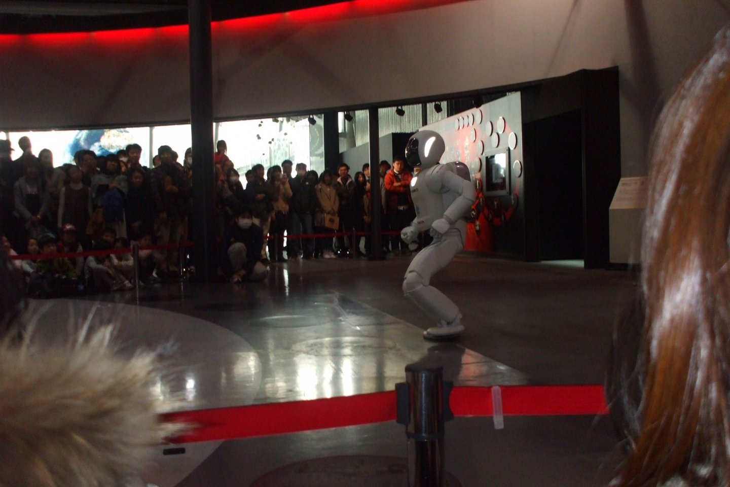 二足歩行ロボット「ASIMO」。身長130ｃｍで、大人が座ったときの目線の高さに合わせて作られており、近未来共に生活することを想定しています