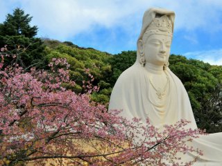 In addition to the Kannon, the grounds also contain a monument to unknown soldiers, a shrine, a mausoleum, a lecture hall, and more.