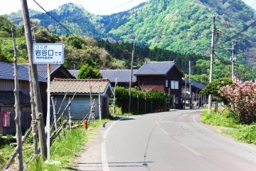 <p>There is one main road along the Sotokaifu coastline, and it cuts through Iwayaguchi&#39;s rice fields. You&#39;re not likely to see many cars on it, though.</p>