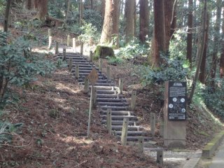 The path through&nbsp;hundreds year old cedars is a fantastic walk
