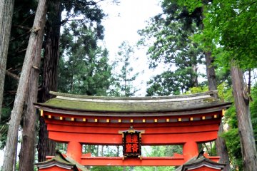 <p>The path leading to the main hall is surrounded by ancient cedar trees.</p>