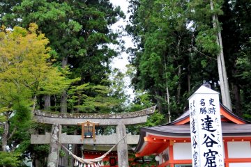 Посетители проходят через трое ворот тории - первые относятся к эпохе Эдо и сделаны из камня, добытого тут же, другие – из дерева, ярко окрашенного красным.