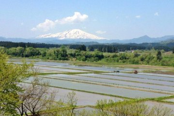 <p>Mount Chokai is Yamagata&#39;s tallest mountain. Here, the rice fields have been flooded in preparation for planting, whilst all around the countryside comes back to life after the winter.</p>