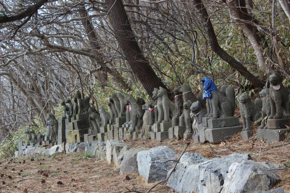 These stone foxes are said to be from all over Japan. When they have become damaged or just became old(serving their duty) they are sent to rest at this shrine. &nbsp;