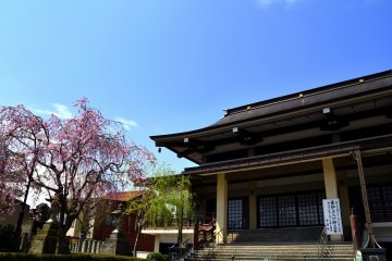 <p>The main hall of Jotokuji Temple with a pretty pink cherry tree under the blue sky</p>