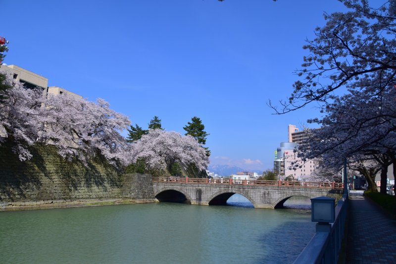 <p>View of the castle bridge under the blue sky in spring</p>