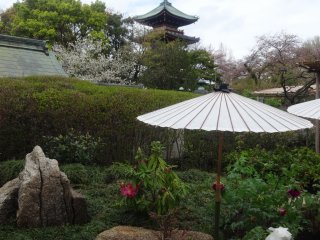 You can even catch glimpses of the park&#39;s five story pagoda from the end of the garden
