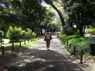 A woman in kimono strolls along the garden path
