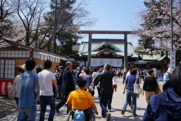 Sakura at Yasukuni Jinja