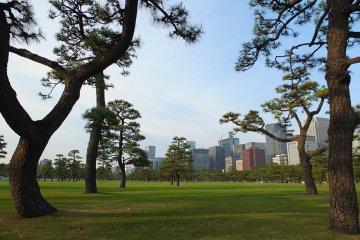 <p>สวนญี่ปุ่นสวยๆ</p>