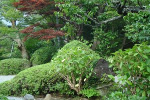 Garden at Jomyoji Temple