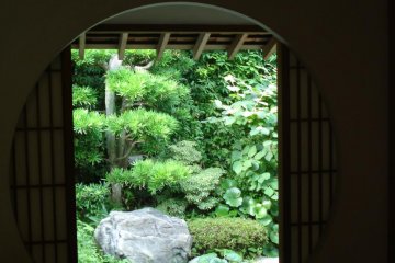 Magnificent window in the tea house at Jomyoji Temple