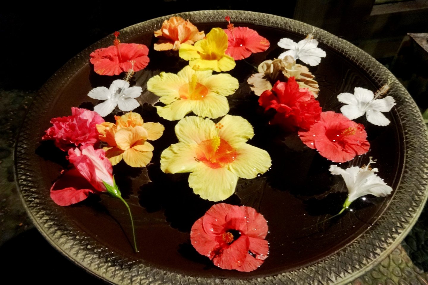 A bowl of floating hibiscus greets diners on arrival to Funakura no Sato