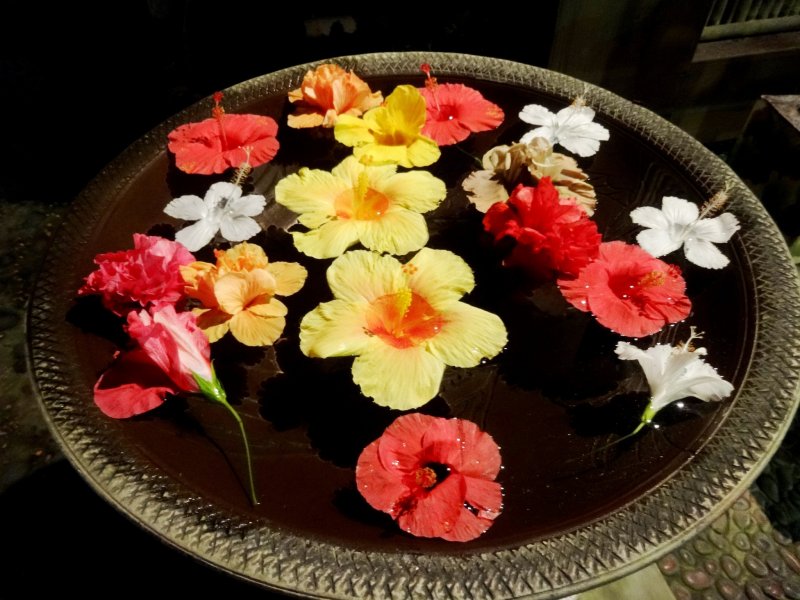 <p>A bowl of floating hibiscus greets diners on arrival to Funakura no Sato</p>