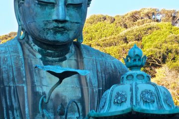 <p>Daibutsu in the late afternoon sun</p>