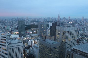 <p>Tokyo waiting patiently for the sun to go down</p>
