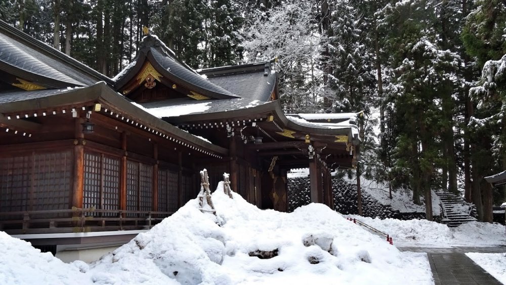 ศาลเจ้าซากุระยะมะ ฮะชิมัน-กุ มีอาคารหลักที่สร้างด้วยสนญี่ปุ่น รายล้อมไปด้วยป่าสนอันงดงาม