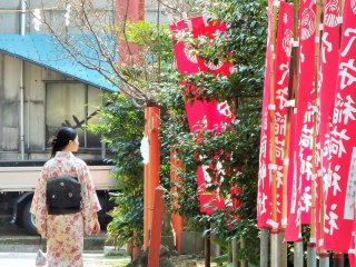 Le sanctuaire accueillait quelques visiteurs. J'ai eu la chance de voir cette adepte du kimono le jour où j'y suis allée