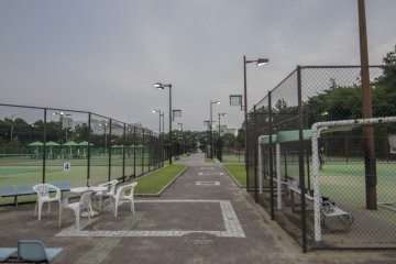 <p>The courts are well lit, maintained and properly fenced.</p>