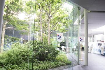 <p>The dark, slightly claustrophobia-inducing interiors synonymous with museums is balanced and contrasted here by the glass curtain&nbsp;walls of the main hall, complete with the calming greens of the outdoor garden.</p>