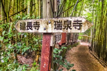 <p>At about the halfway point you will enter a small bamboo grove where the Tenen Tea House and a rest area are located</p>