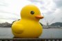 Rubber Duck Project di Onomichi