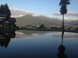 Le reflet de l'arbre et de la montagne dans l'eau est un spectacle magnifique, mais presque commun dans les sources d'eau des rizières qui ne sont pas situées dans les montagnes