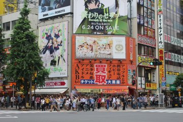<p>A busy and vibrant place&nbsp;</p>