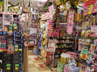 Don Quijote, Japan's Variety Store