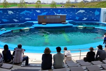 New Aquarium Opens in Sendai