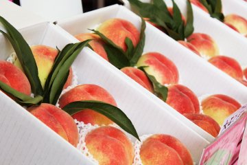 <p>Some of Japan&#39;s best peaches come from Fuji</p>