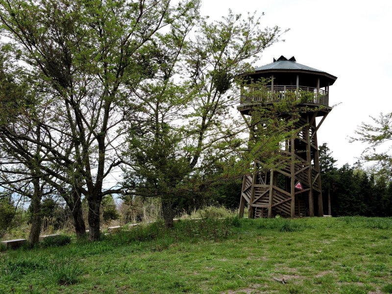 <p>A small wooden tower stands at the top of the path</p>