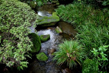 <p>You can listen to the refreshing sound of flowing water</p>
