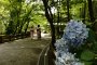 Taman Bersejarah Tenryu-ji