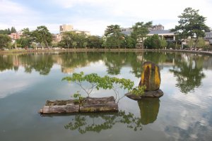 Sarusawa Pond - with benches and grass around the pond it is the perfect place for a short break. The NARA Visitor Center is located just around the corner!&nbsp;