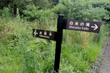 <p>The paths are well signposted and easy to follow</p>