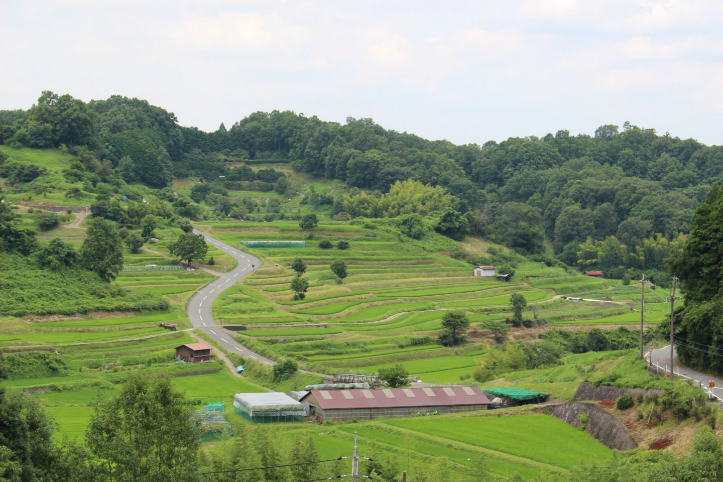 Asuka's Tanada (terraced rice fields) offer countless opportunity to take the perfect post card photo or stroll or ride leisurely through the countryside