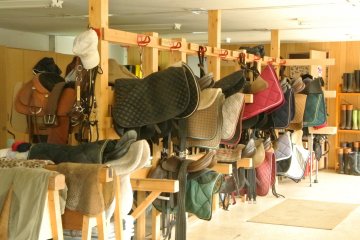 <p>This is the saddle rental.</p>