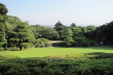 The lush garden of the museum; in the background is the botanical garden