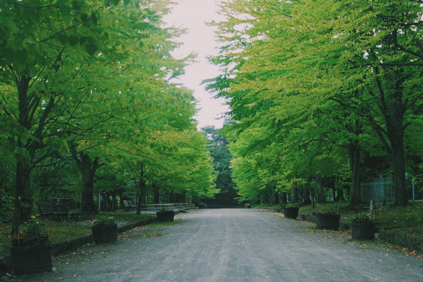 Hirosaki Park will make you calm.
