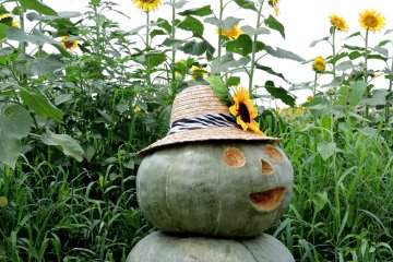 <p>A pumpkin sculpture in a sunflower decorated hat</p>