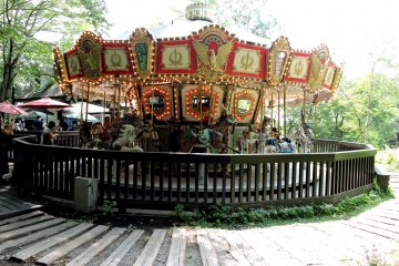 <p>The carousel in the forest</p>