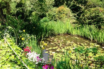 Claude Monet&#39;s water lilies is the inspiration behind this garden, one that connects that art inside and outside.