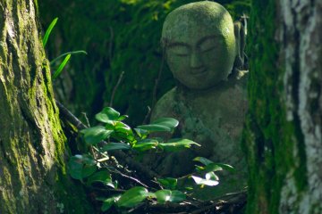 <p>A statue of Kobo-Daishi, Araragi-Daishi, nestled in among some trees (14th temple)</p>